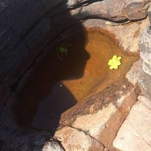 Meet your Posher, Marisabel